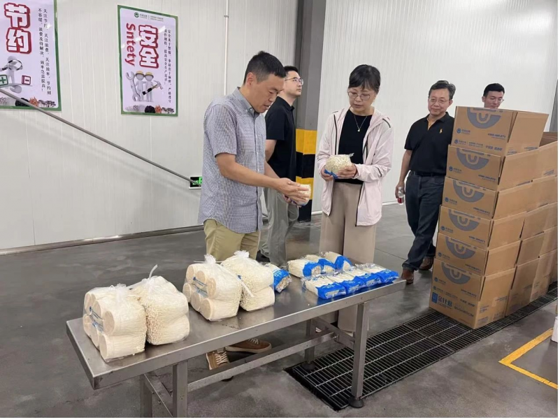上海市食用菌产业技术体系专家组赴海宁华绿生物开展金针菇保鲜标准SOP规程示范对接，聚焦称重设备零售环节优化