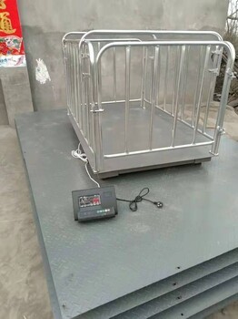 精准高效，助力现代畜牧业发展——畜牧业称重地磅与称重设备零售全解析